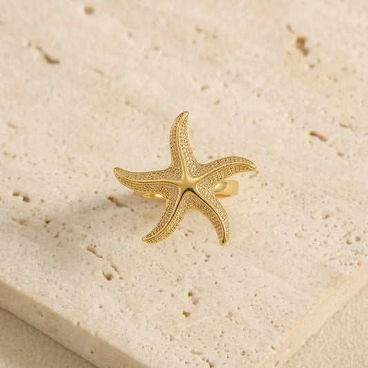 Seas the Moment Ring x Anamora Anamora
